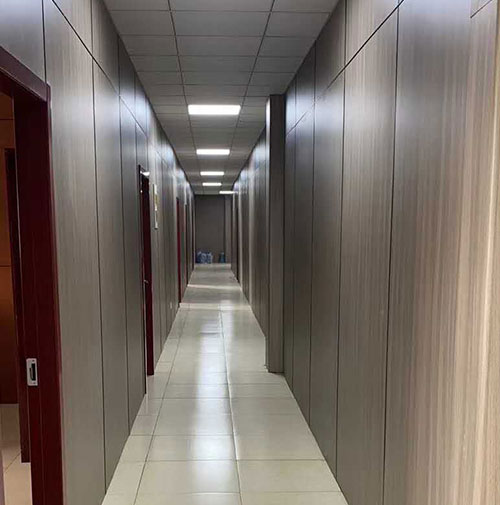 Projekt integracji medycznej i pielęgniarskiej Hongze Lake